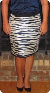 Ann Taylor: Zebra Jacquard Skirt, Eyelet Bodice Dress, Skinny Stripe Top, Polka Dot Colorblock S/S Top